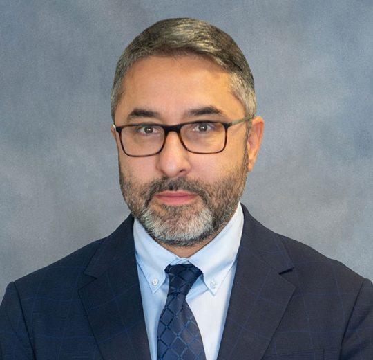 prof. dr. sc. Danijel Pravdić