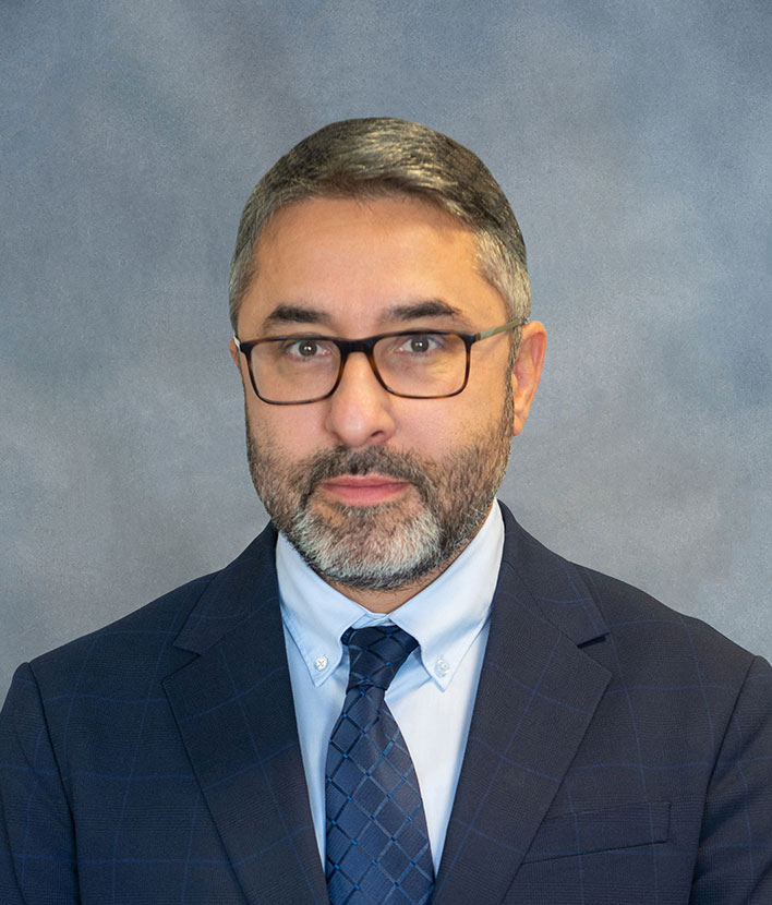 prof. dr. sc. Danijel Pravdić
